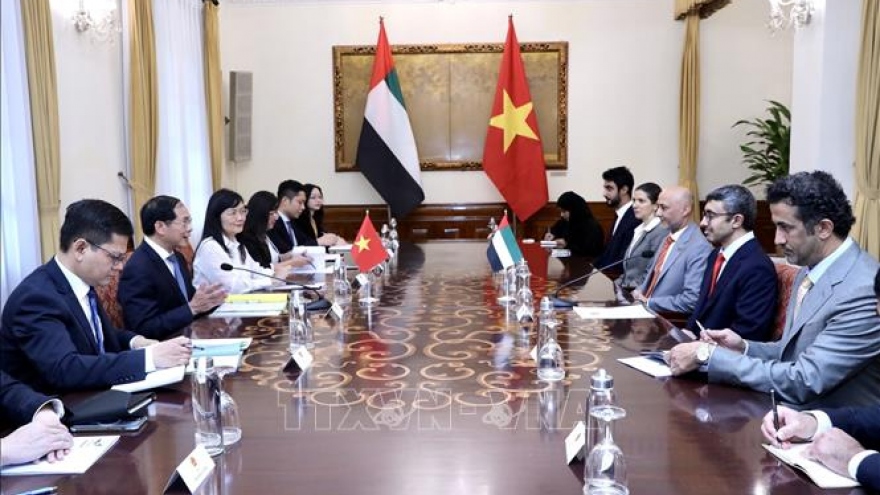 Vietnam, UAE examine ways to further improve cooperation efficiency